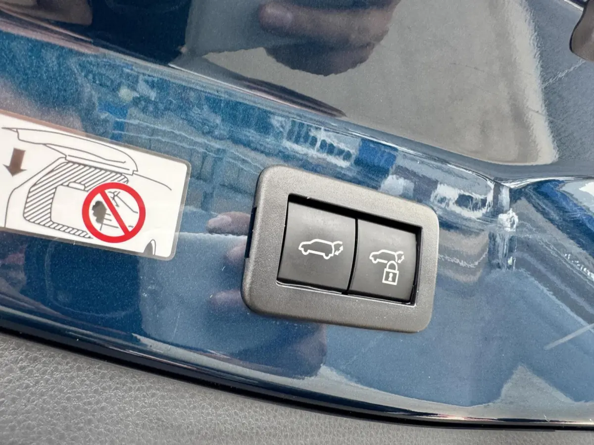 2.0 Plug-in Hybrid 220 First Edition|NL-Auto