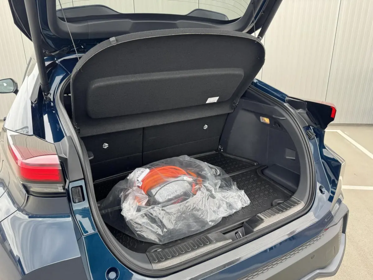 2.0 Plug-in Hybrid 220 First Edition|NL-Auto