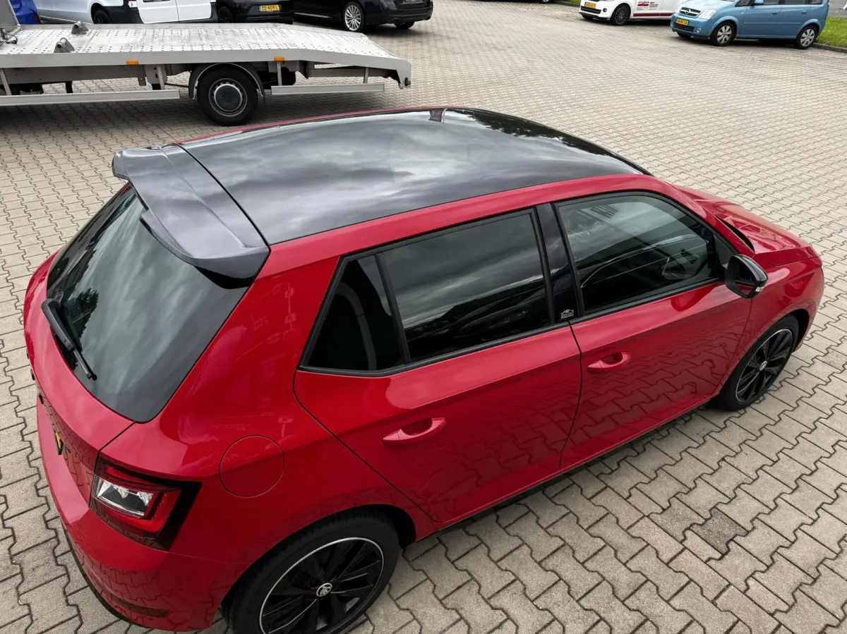 1.0 TSI 70KW Monte Carlo Panoramisch dak
