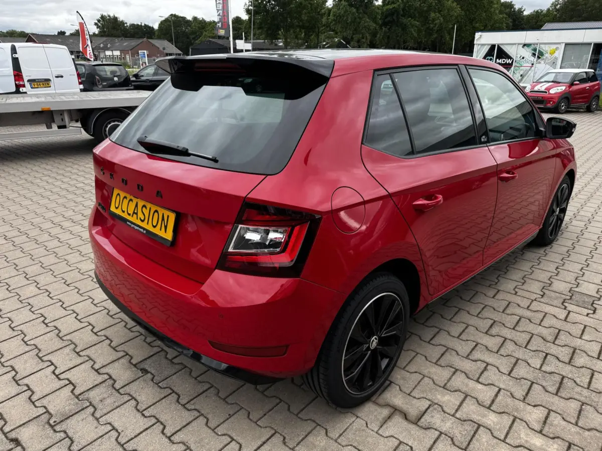 1.0 TSI 70KW Monte Carlo Panoramisch dak