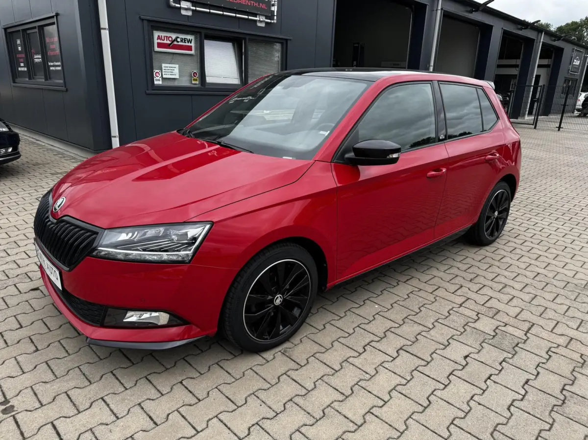 1.0 TSI 70KW Monte Carlo Panoramisch dak