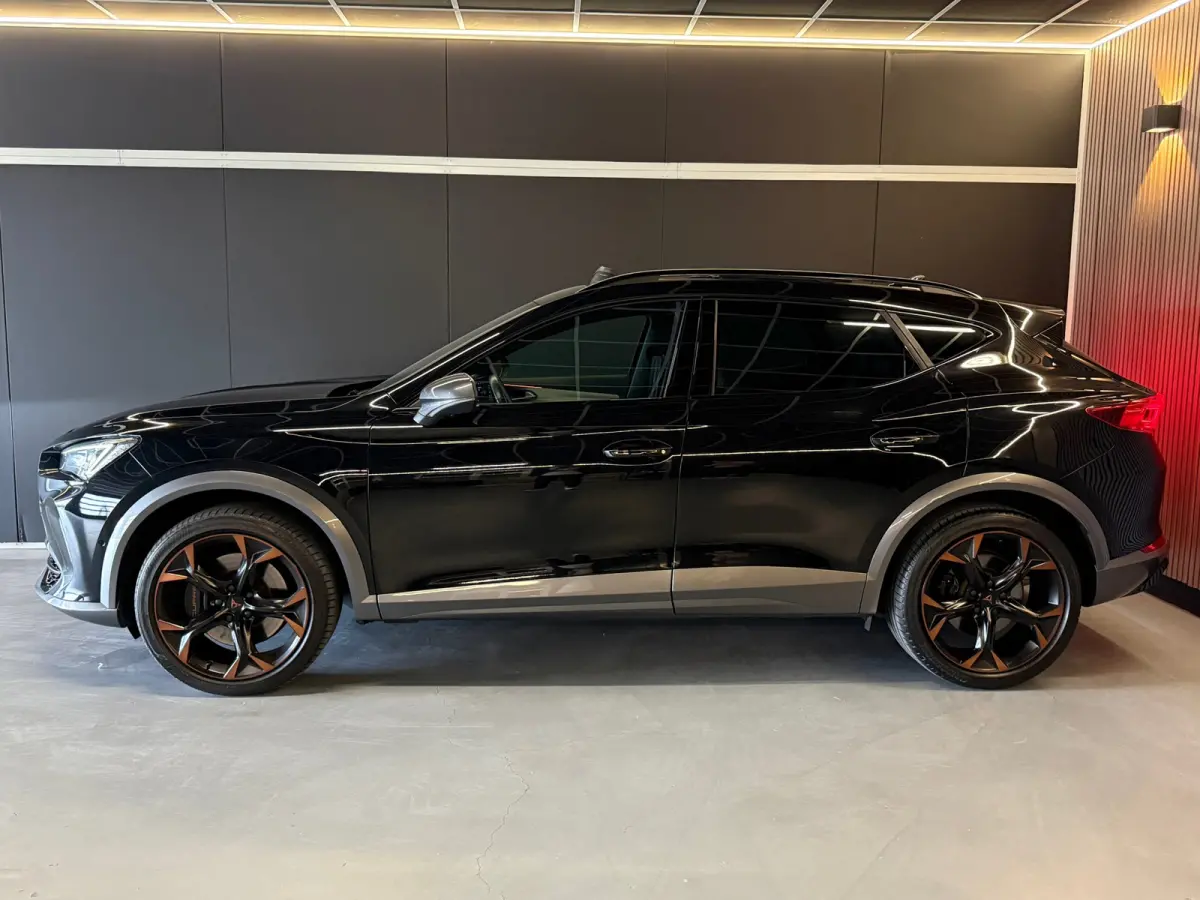 Cupra Formentor 2.0 TSI 4DRIVE Pano|Beats|CAM|Trekhaak|KEYL|360