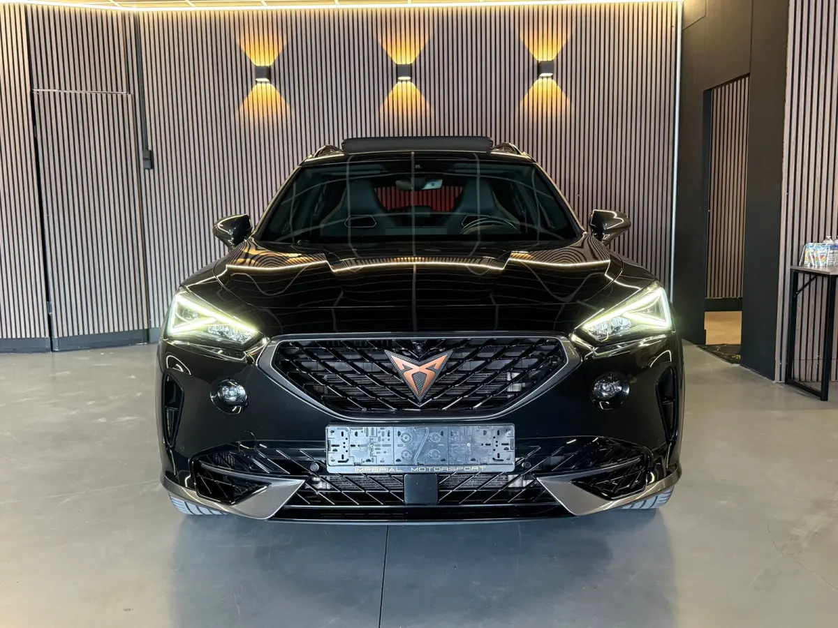 Cupra Formentor 2.0 TSI 4DRIVE Pano|Beats|CAM|Trekhaak|KEYL|360