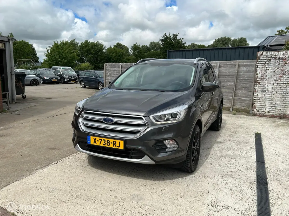 1.5 EcoBoost Titanium|Allseason|revisie motor