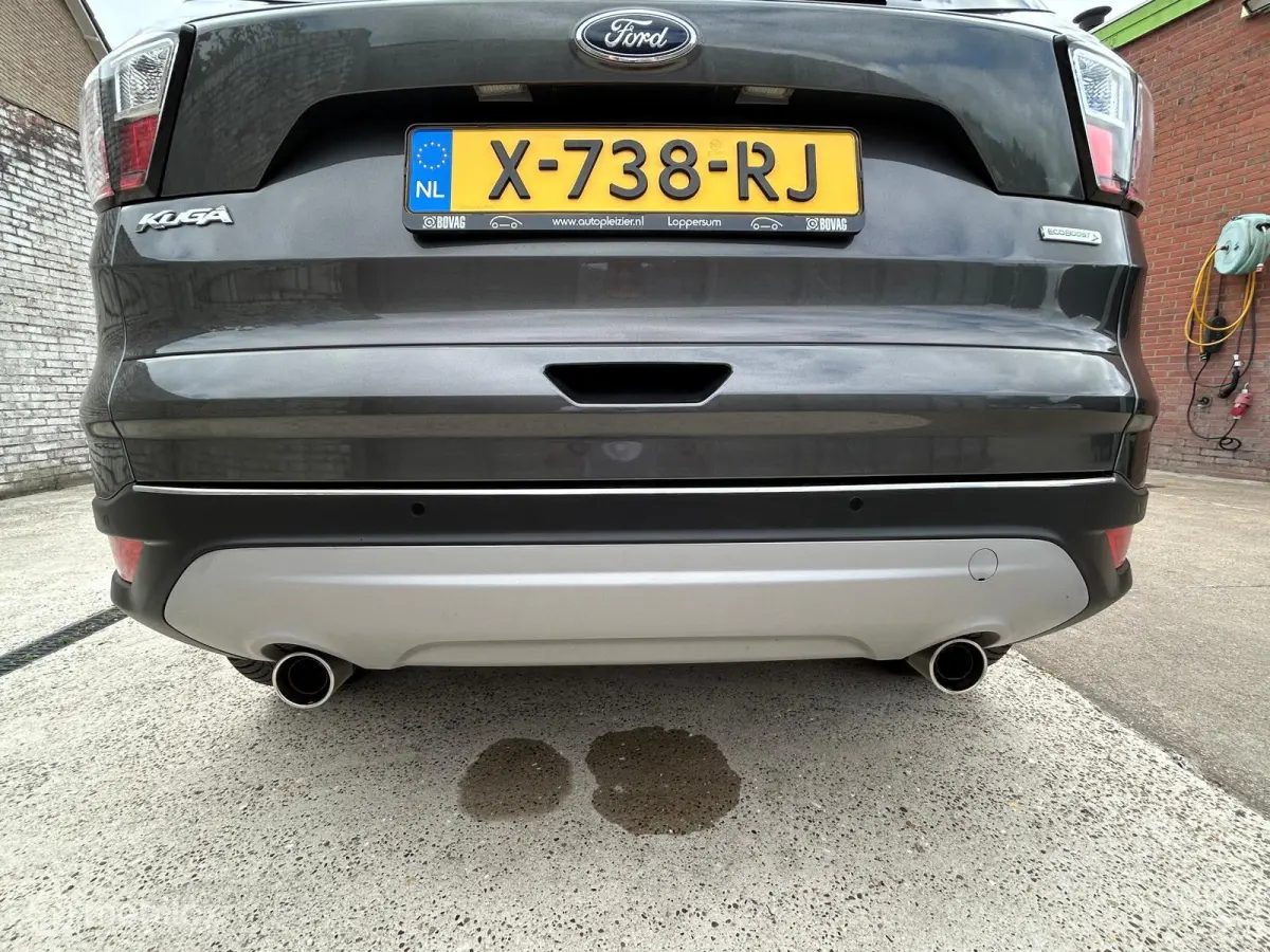 1.5 EcoBoost Titanium|Allseason|revisie motor