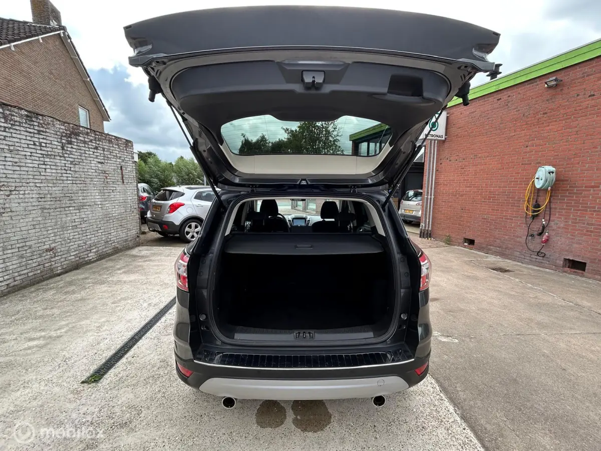 1.5 EcoBoost Titanium|Allseason|revisie motor