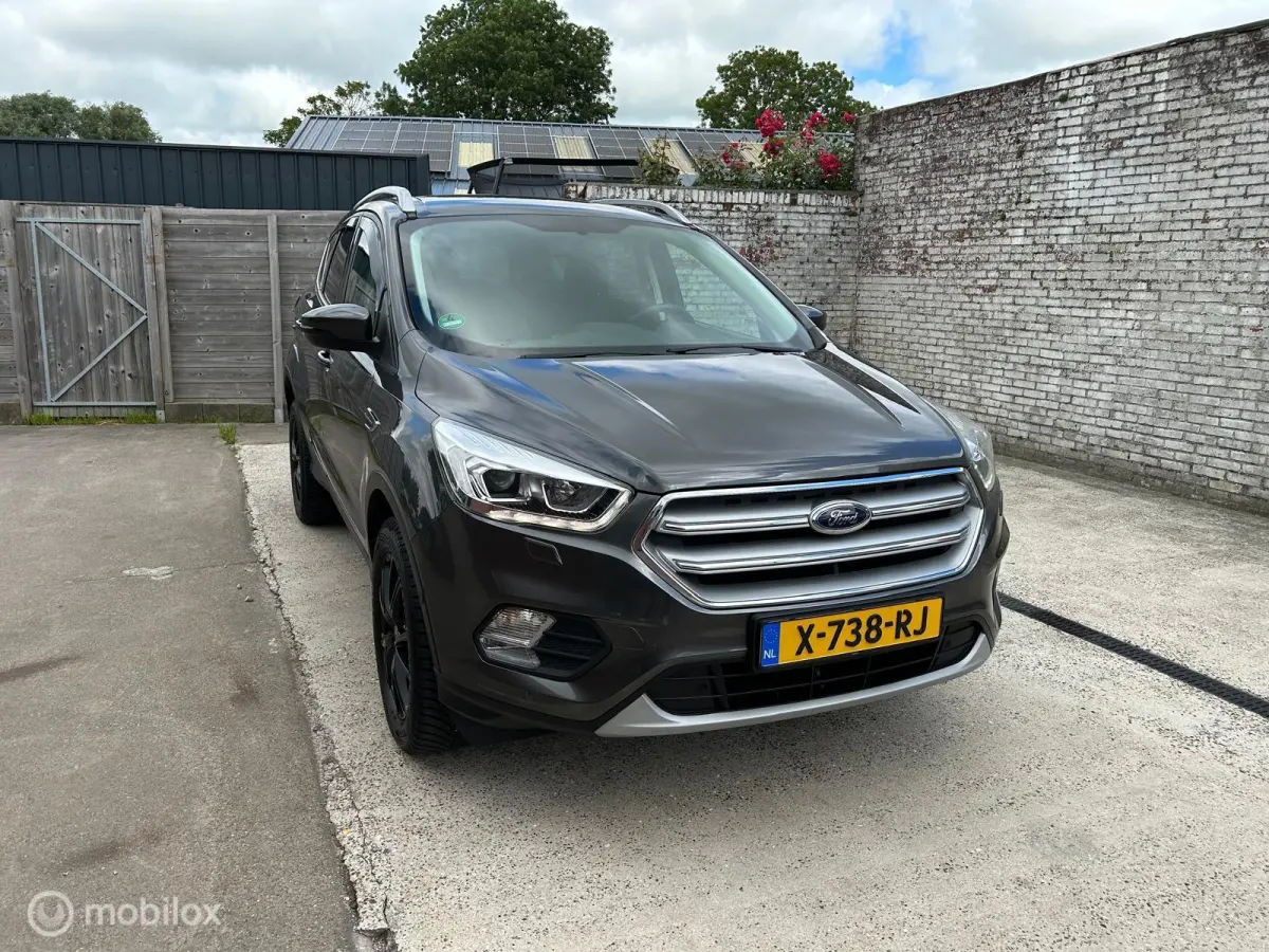 1.5 EcoBoost Titanium|Allseason|revisie motor