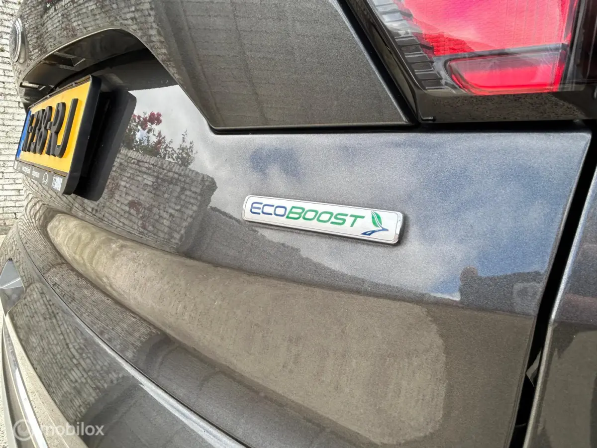 1.5 EcoBoost Titanium|Allseason|revisie motor