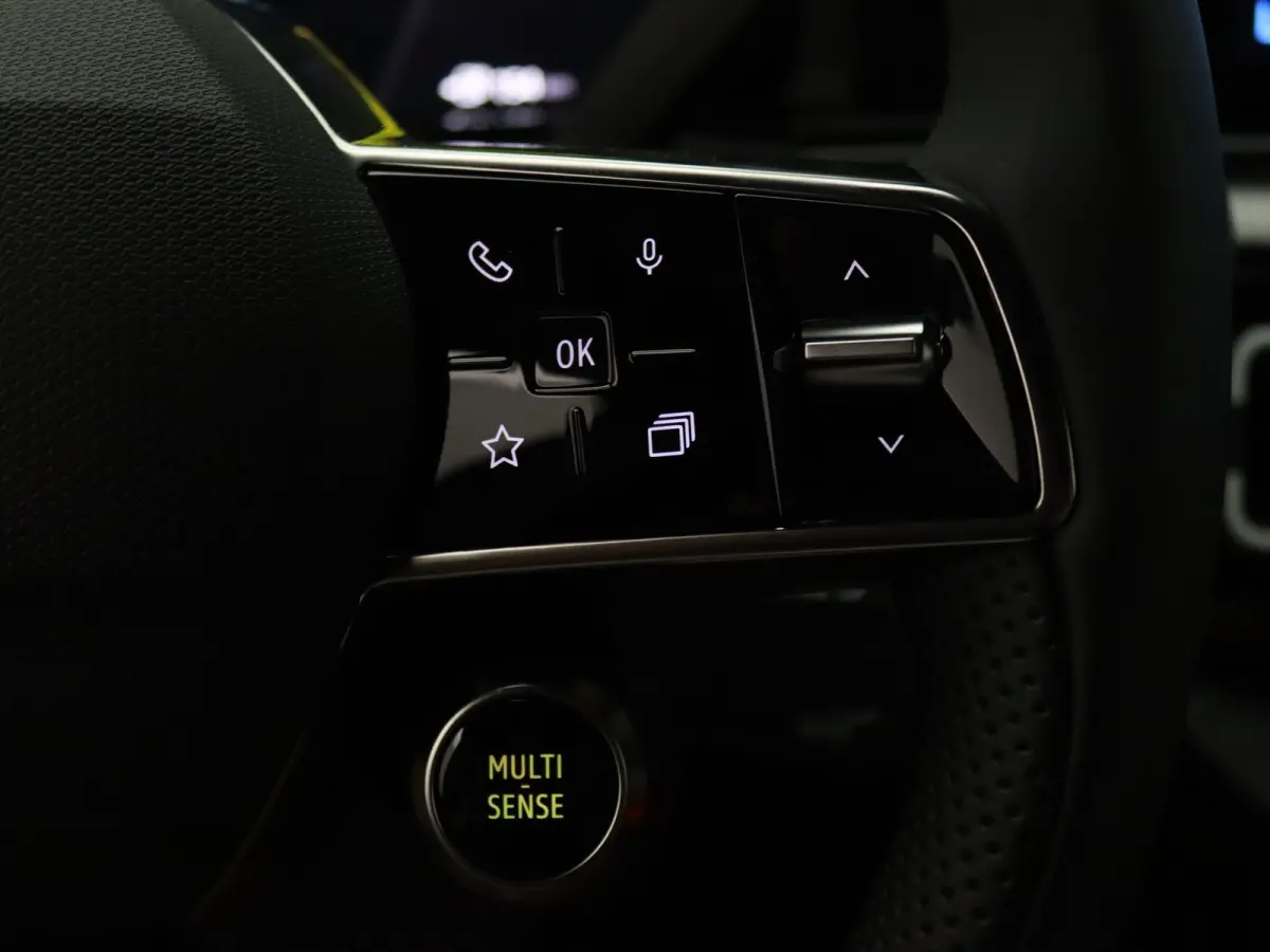 comfort range Roland-Garros 52 kWh Harman Kardon | Camera | Adapt. Cruise | Parkeersens. v+a | Stoel-/stuurverw.
