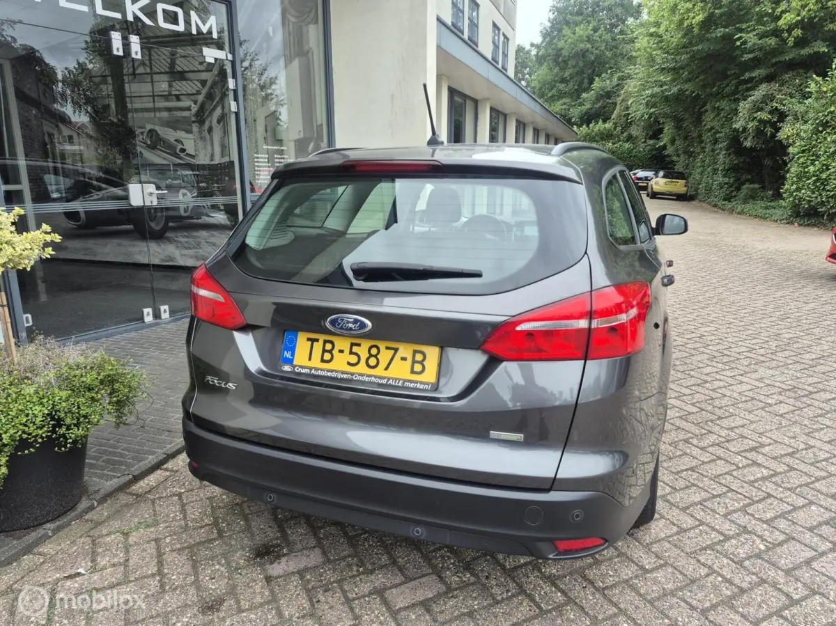 1.0 EcoBoost Trend Edition Navi|Winterpakket