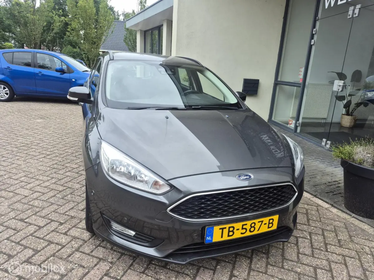1.0 EcoBoost Trend Edition Navi|Winterpakket