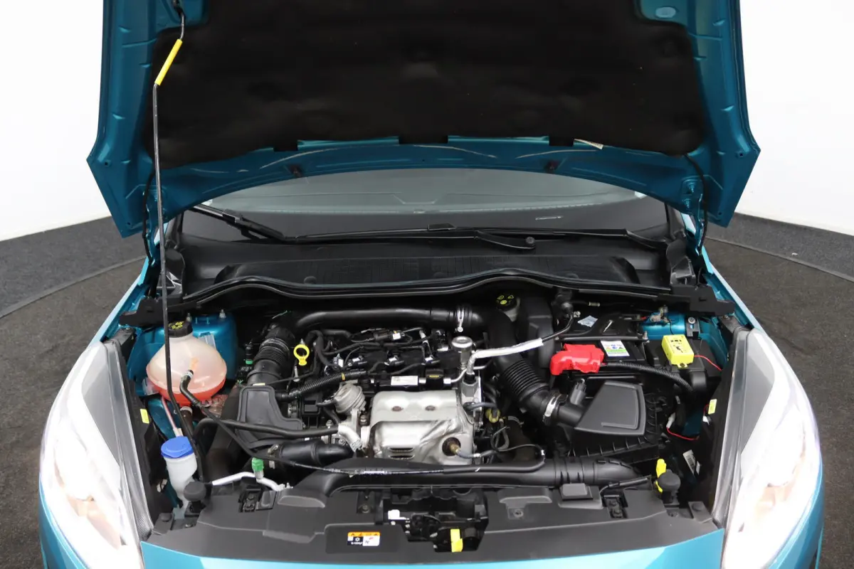 1.0 EcoBoost Titanium | Panoramadak | Winterpack | B&O | CarPlay/Android Auto | Camera | Keyless