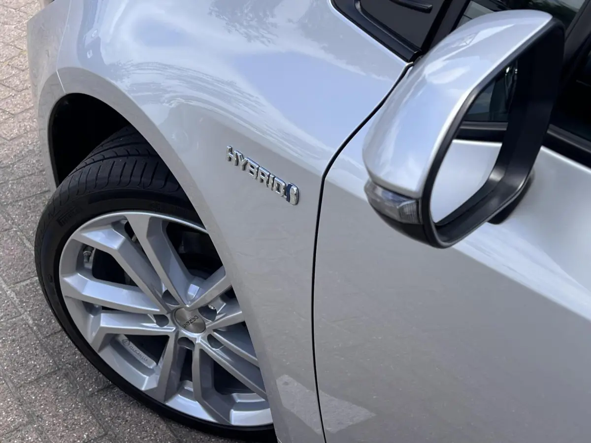 1.8 Hybrid Active NLauto NAP