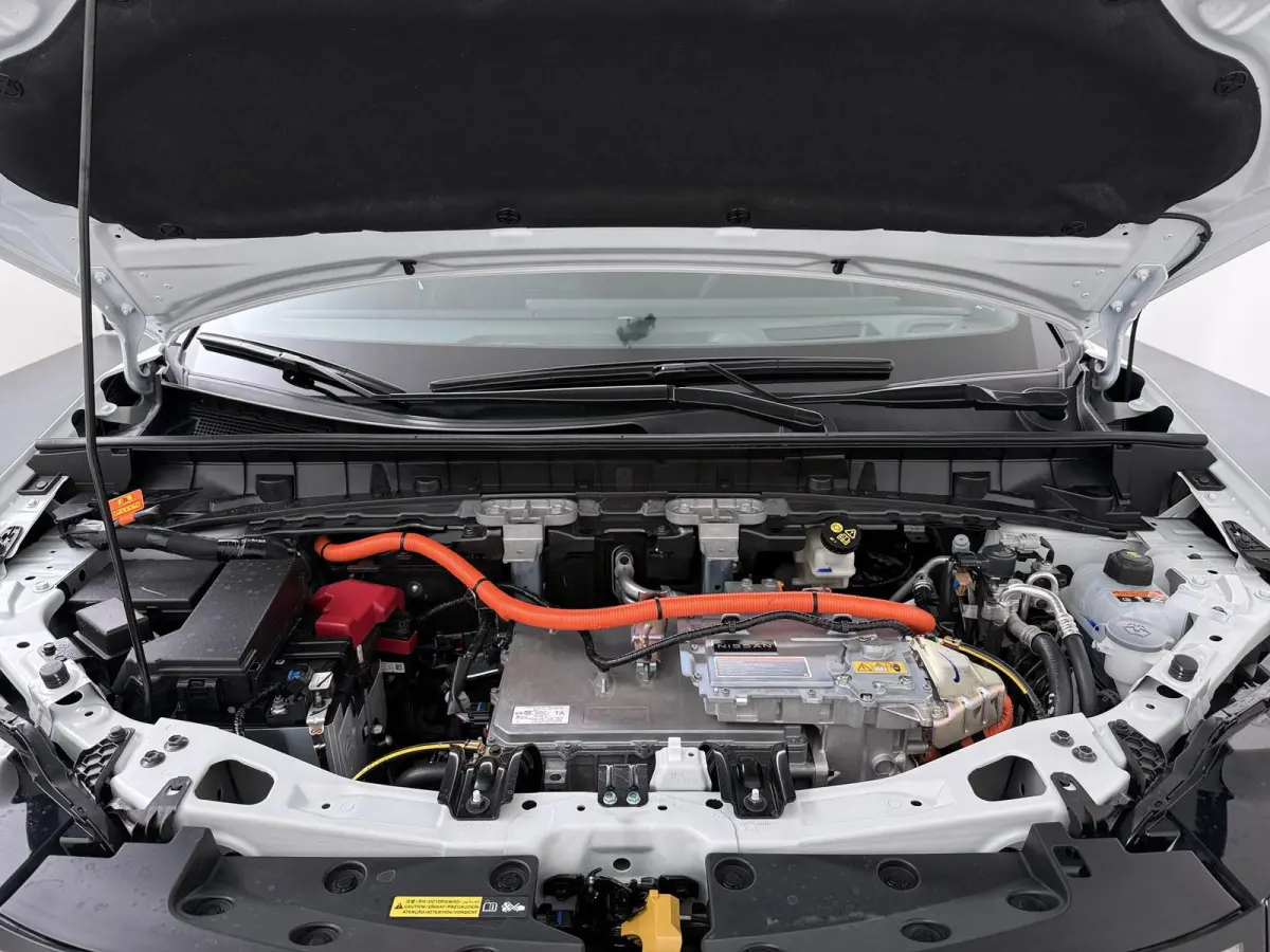 Evolve 52 kWh | €2000,- Inruilpremie