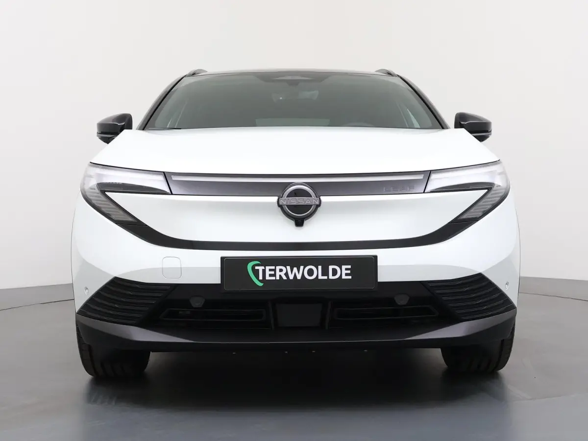 Evolve 52 kWh | €2000,- Inruilpremie
