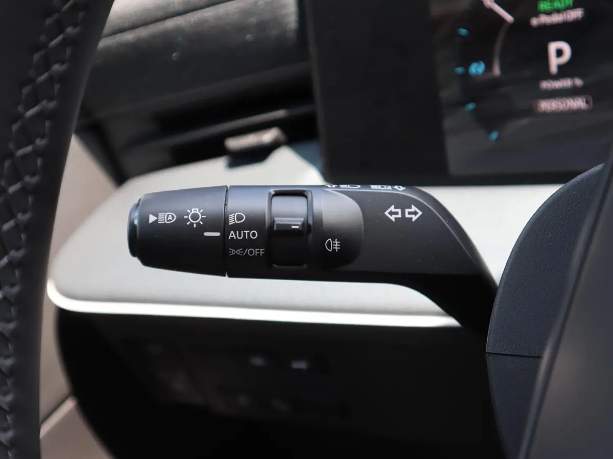 Evolve 52 kWh | Panoramadak | BOSE Audio | Lederen Bekl. |