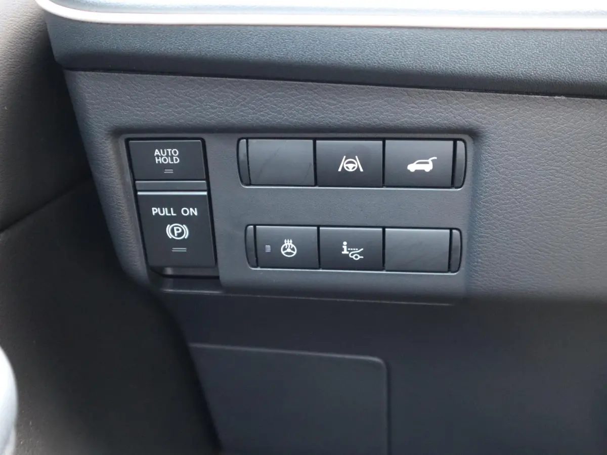 Evolve 52 kWh | Panoramadak | BOSE Audio | Lederen Bekl. |