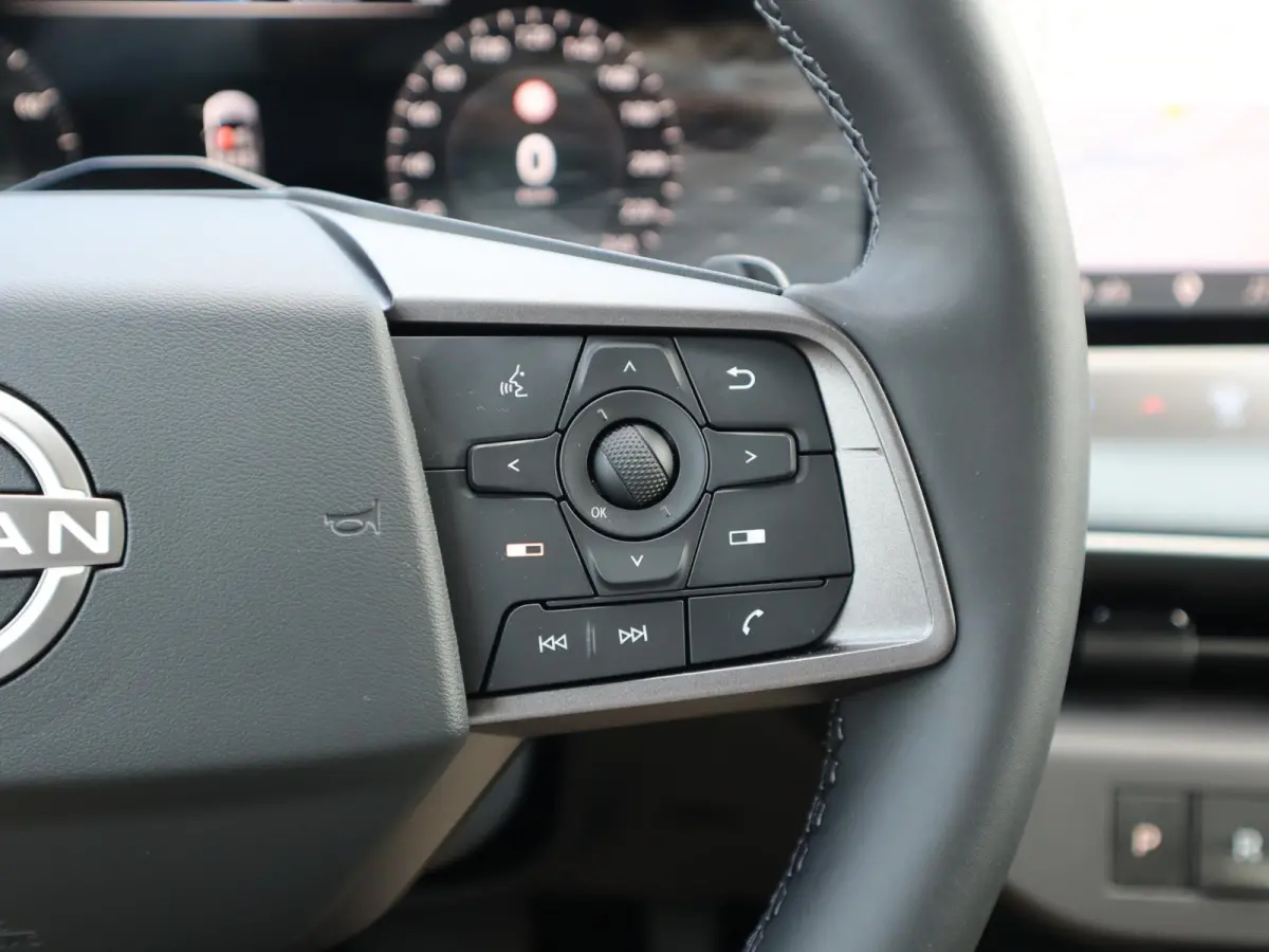 Evolve 52 kWh | Panoramadak | BOSE Audio | Lederen Bekl. |