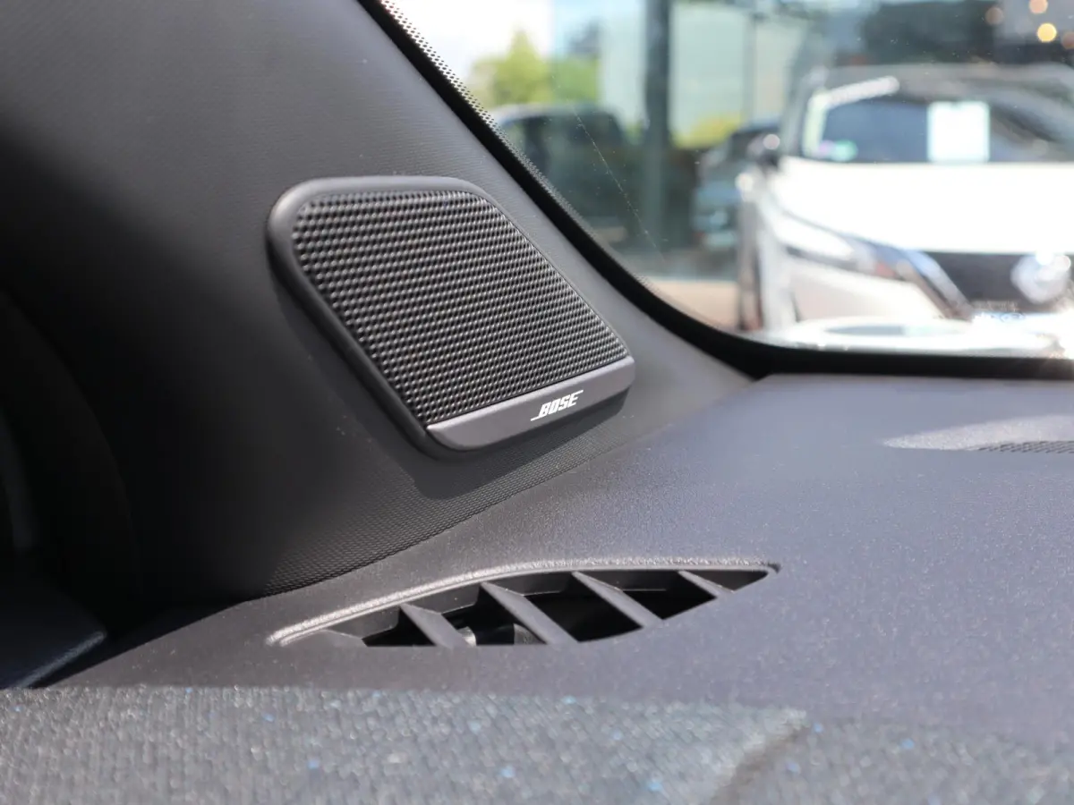 Evolve 52 kWh | Panoramadak | BOSE Audio | Lederen Bekl. |