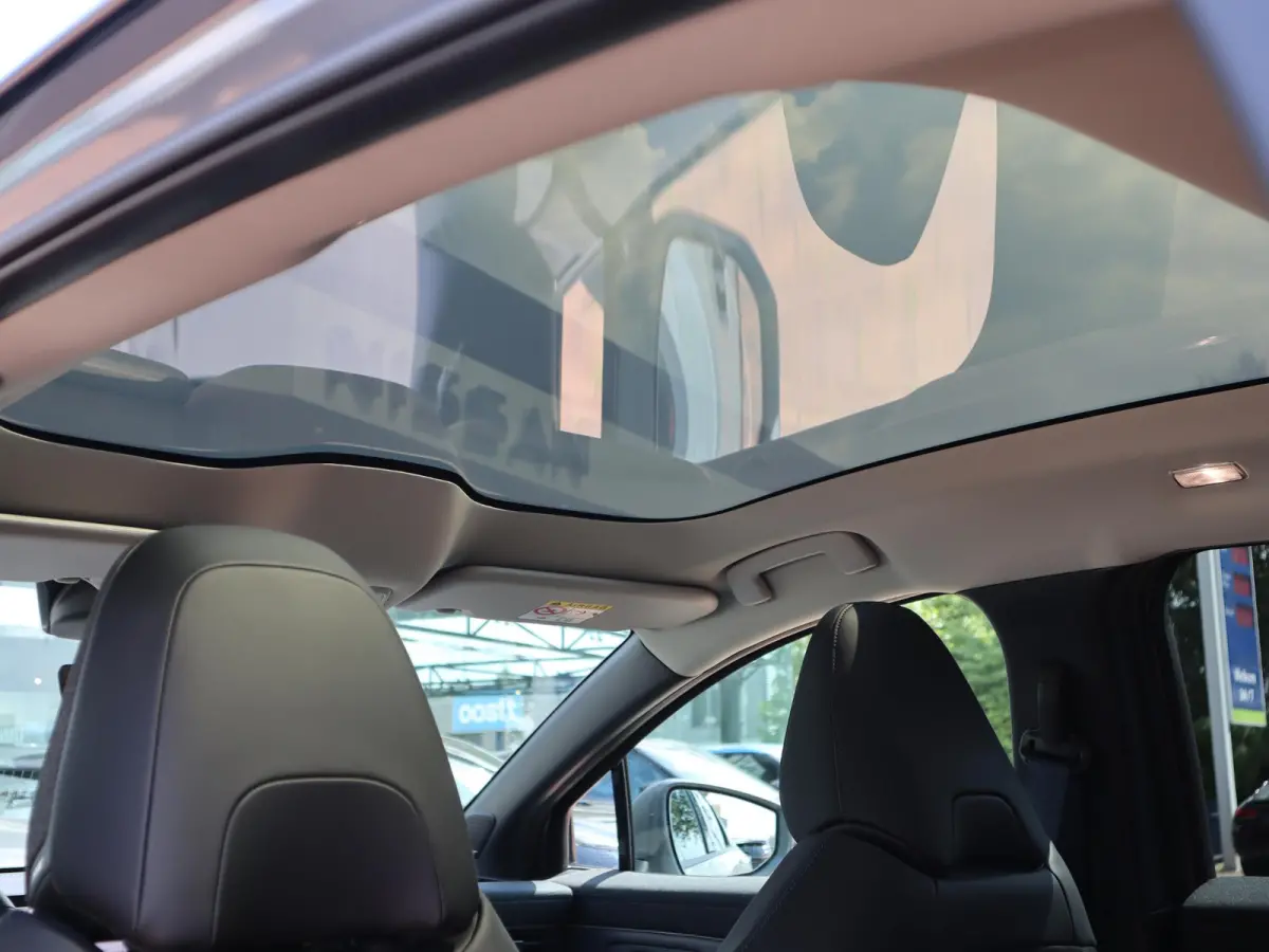 Evolve 52 kWh | Panoramadak | BOSE Audio | Lederen Bekl. |
