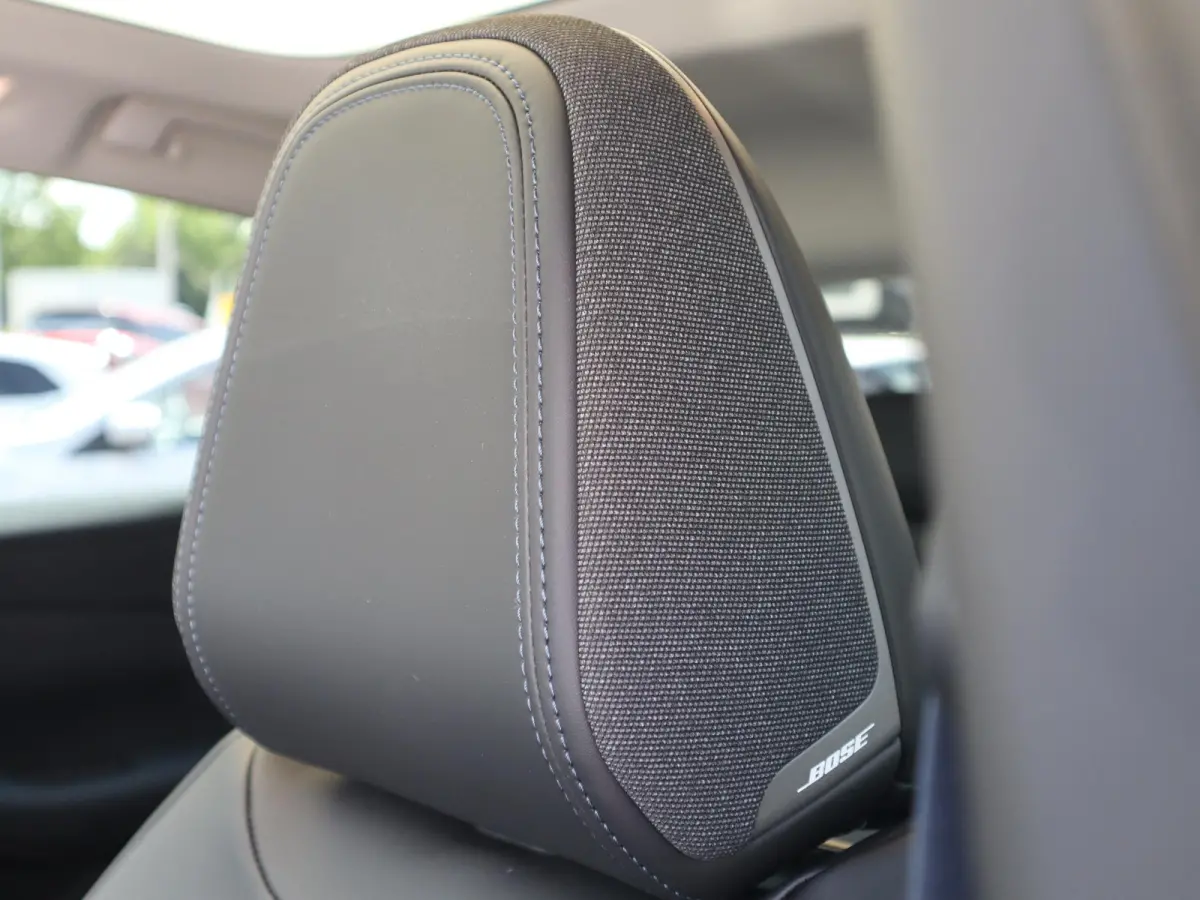 Evolve 52 kWh | Panoramadak | BOSE Audio | Lederen Bekl. |