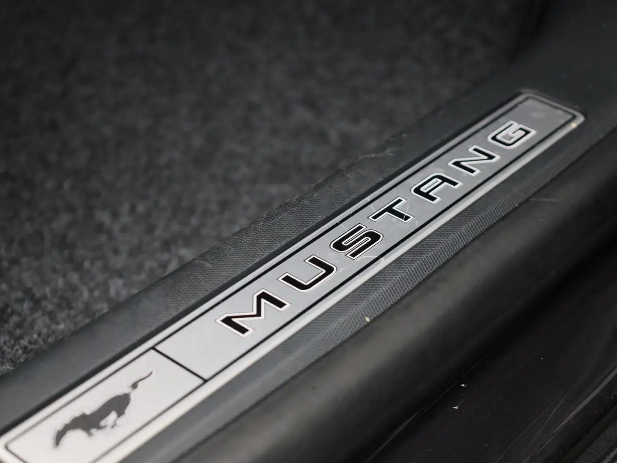 AWD 75 kWh | Pano | Adaptive Cruise | Stoel/Stuurverwarming | B&O | 360 Camera | Elektrische Achterklep |