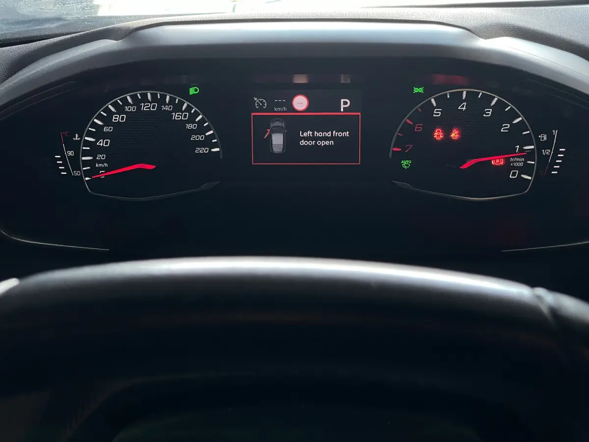 1.2 PureTech Active AUTOMAAT 1EIG ORG NL DEALEROND|360*CAMERA|PARK.ASSIST|LED|CRUISE|CARPLAY|ANDROIDAUTO|