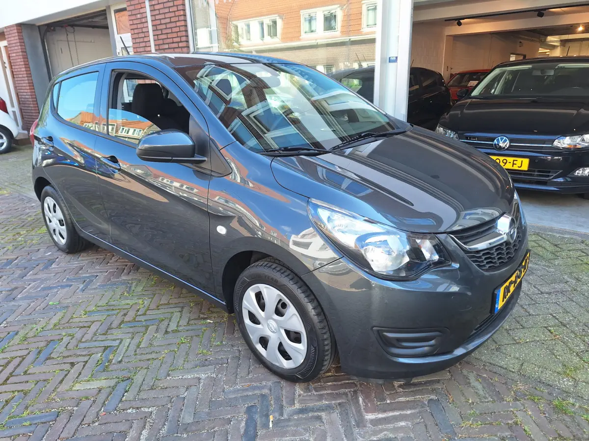 1.0 ecoFLEX Edition /Airco/Cruise/Bluetooth/Garantie