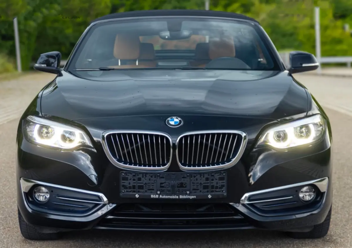 220iA EDITION-2 ** LED, COGNAC LEDER, NAVI, CAMERA, 17-inch LMV ** 1e EIG - UNFALLFREI  ** ** INFORMEER OOK NAAR ONZE AANTREKKELIJKE FINANCIAL-LEASE TARIEVEN **