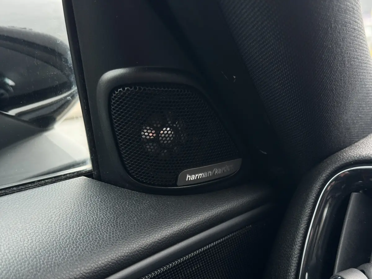 | PANORAMADAK | STOELVERWARMING | HEAD-UP | PARKEERSENSOREN V+A | LMV 19" | NAVI | APPLE CARPLAY / ANDROID AUTO |