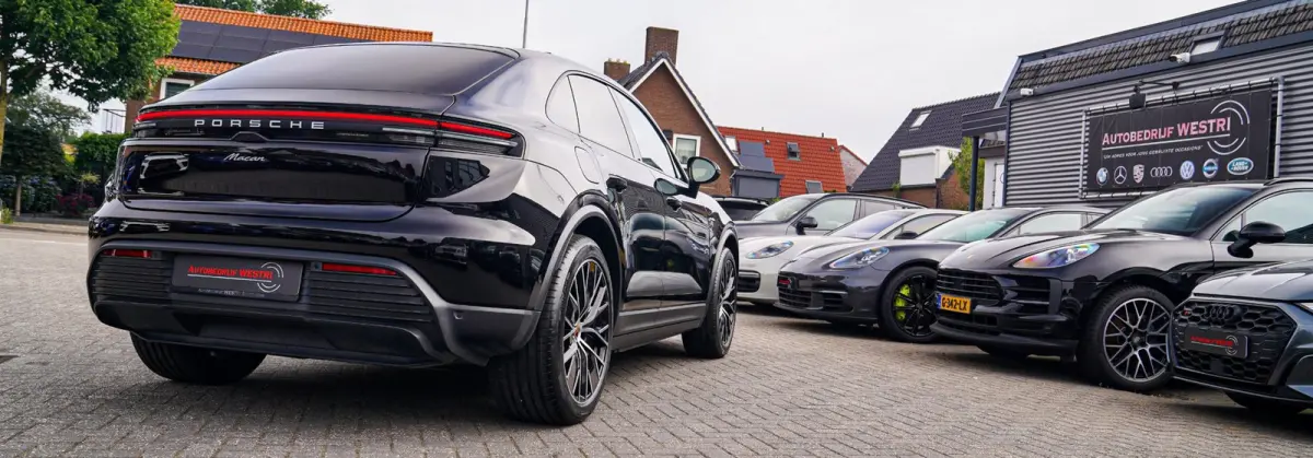100 kWh | Camera | Panorama Dak | Groen Leder Interieur | Luchtvering | Stuurwielverwarming