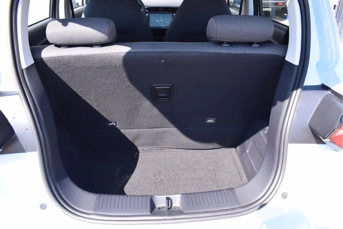 EV Design 37.3 kWh 95pk | Panoramadak | Camera | Adaptive Cruise