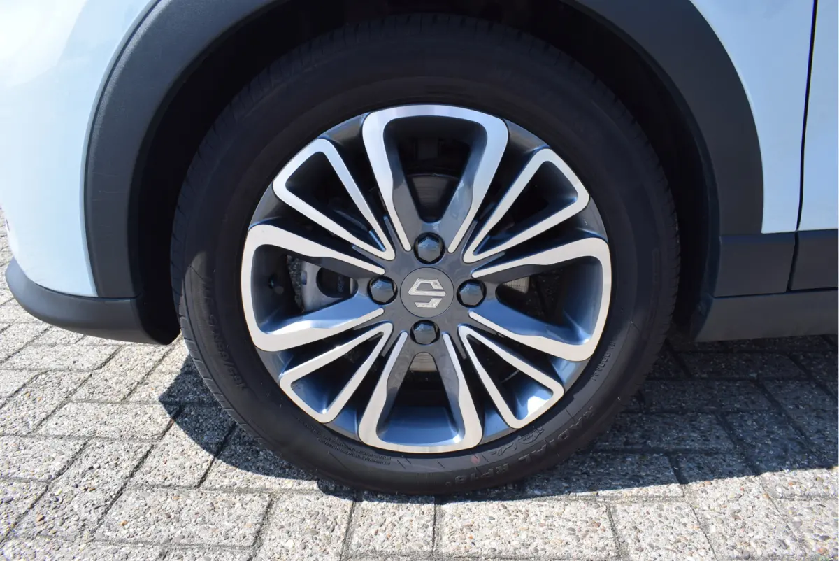 EV Design 37.3 kWh 95pk | Panoramadak | Camera | Adaptive Cruise