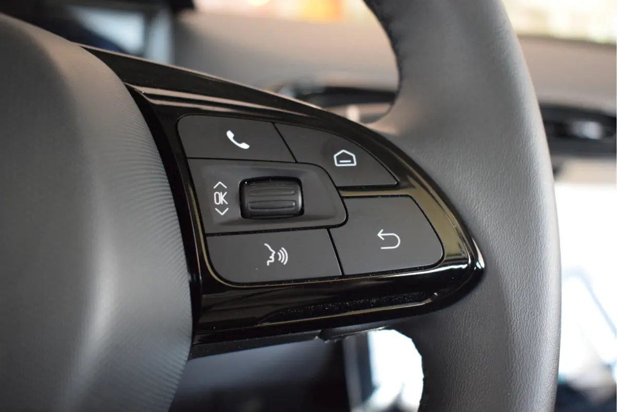 EV Design 37.3 kWh 95pk | Panoramadak | Camera | Adaptive Cruise
