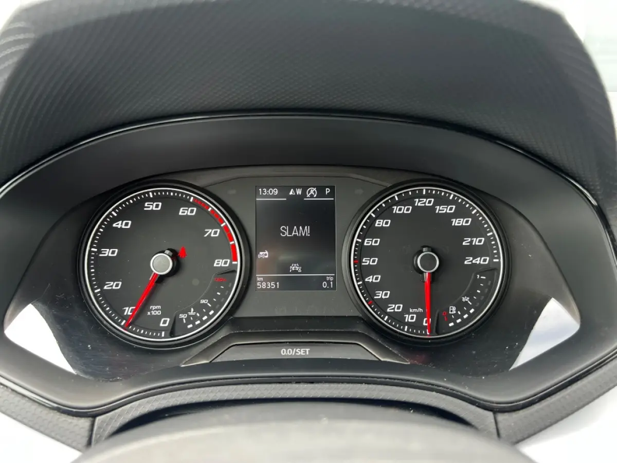 1.0 TSI 110pk DSG FR | Navi | Camera | Trekhaak