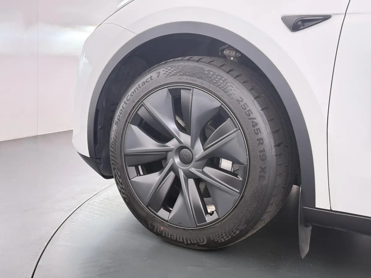 Long Range RWD 75 kWh LONG RANGE FSD! | FULL SELF DRIVE OP DE AUTO (UNIEK, GEEN ABONNEMENT MAAR GEKOCHT )|