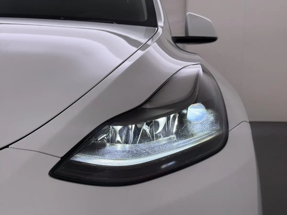 Long Range RWD 75 kWh LONG RANGE FSD! | FULL SELF DRIVE OP DE AUTO (UNIEK, GEEN ABONNEMENT MAAR GEKOCHT )|