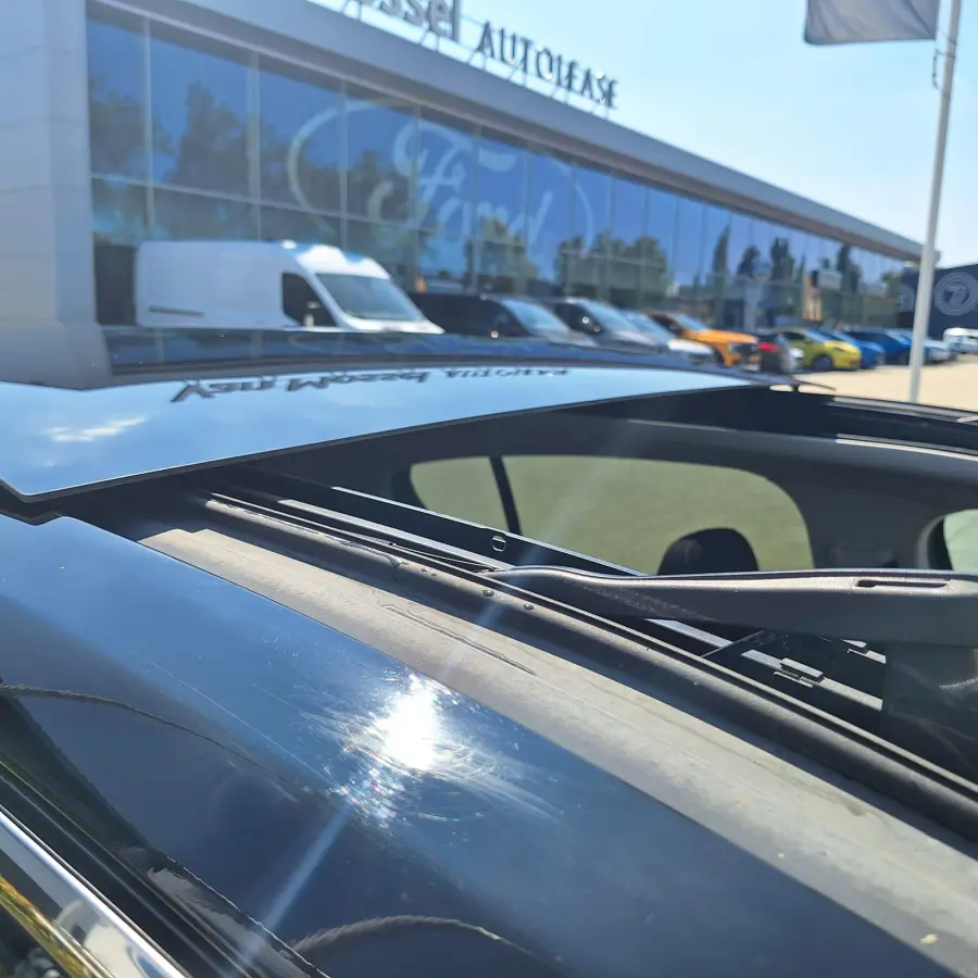 1.5 EcoBlue Trend Edition Business | Pano | Cruise Control | B&O Sound | Apple Carplay/Android Auto | Sensoren Voor+Achter | Navi | Draadloos Opladen |