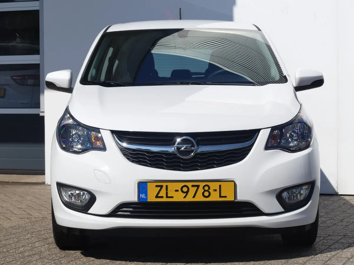 1.0 ecoFLEX 120 Jaar Edition | AIRCO | PARKEERSENSOREN | LMV 15" | CRUISE |