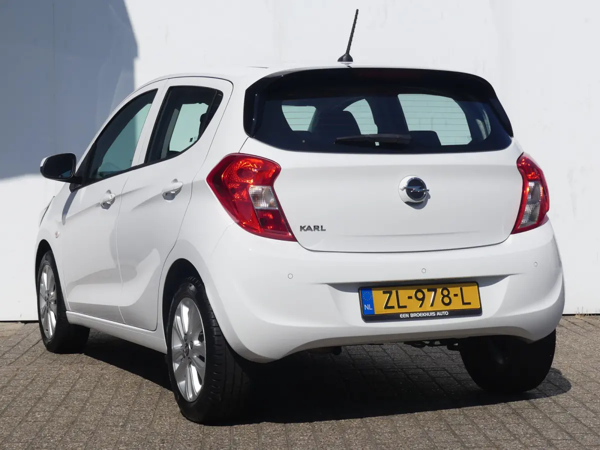 1.0 ecoFLEX 120 Jaar Edition | AIRCO | PARKEERSENSOREN | LMV 15" | CRUISE |
