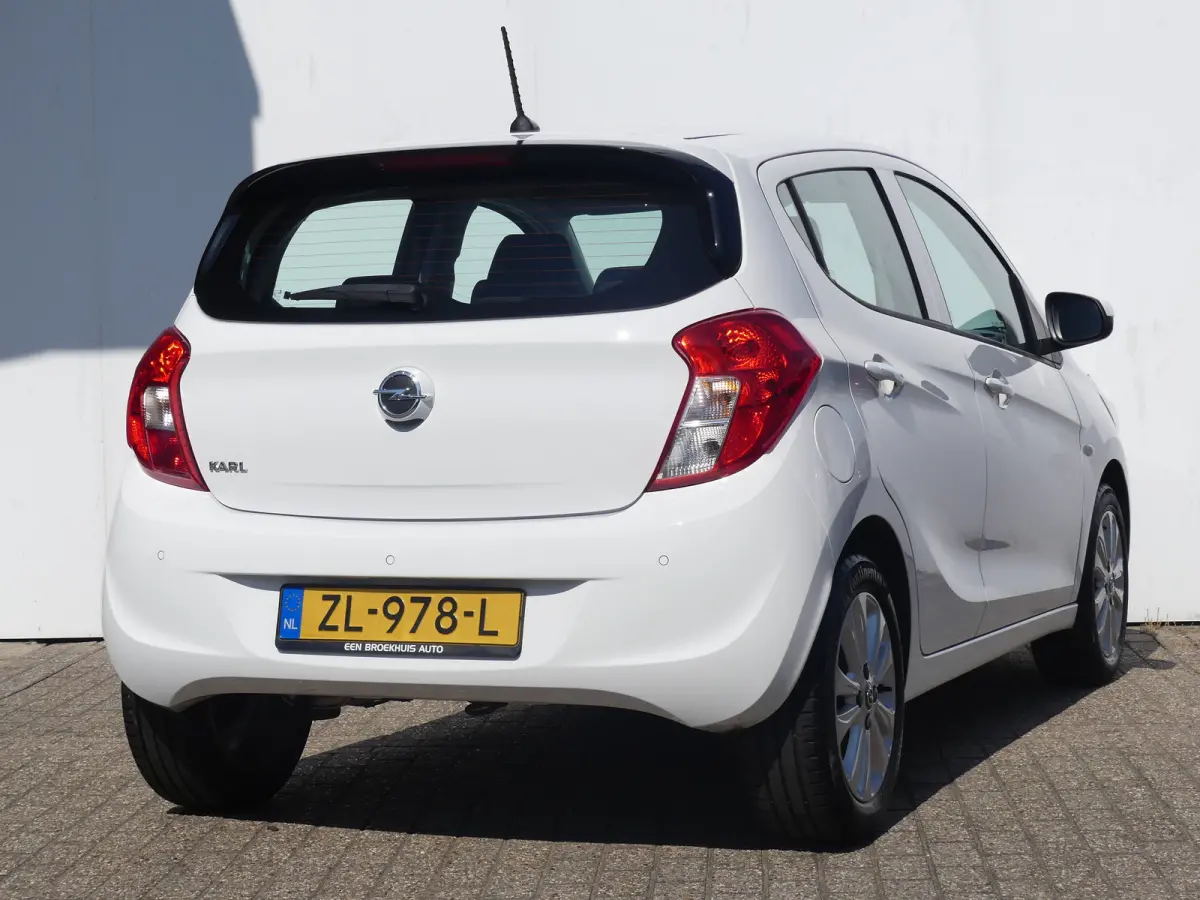 1.0 ecoFLEX 120 Jaar Edition | AIRCO | PARKEERSENSOREN | LMV 15" | CRUISE |