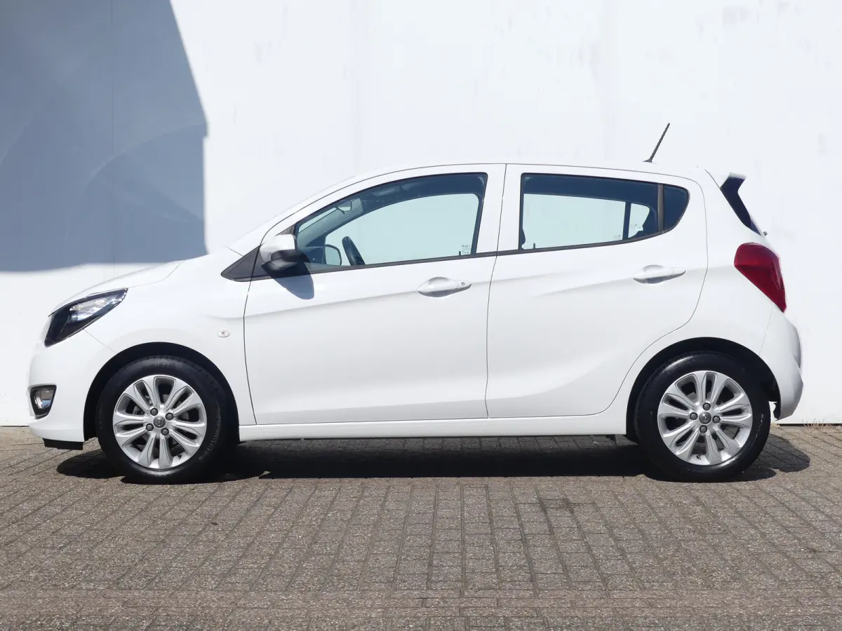 1.0 ecoFLEX 120 Jaar Edition | AIRCO | PARKEERSENSOREN | LMV 15" | CRUISE |