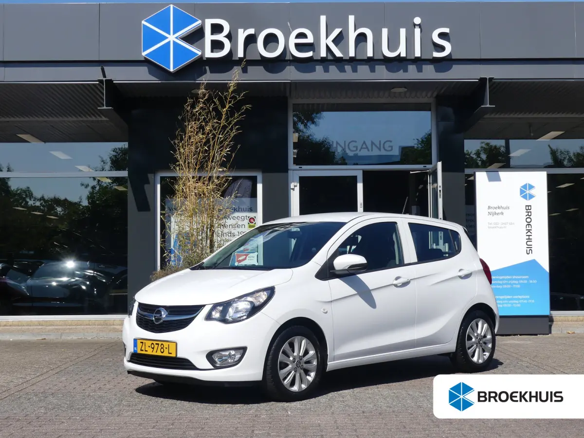 1.0 ecoFLEX 120 Jaar Edition | AIRCO | PARKEERSENSOREN | LMV 15" | CRUISE |