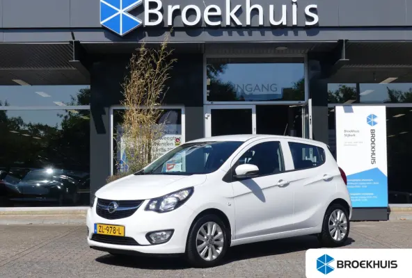 1.0 ecoFLEX 120 Jaar Edition | AIRCO | PARKEERSENSOREN | LMV 15" | CRUISE |