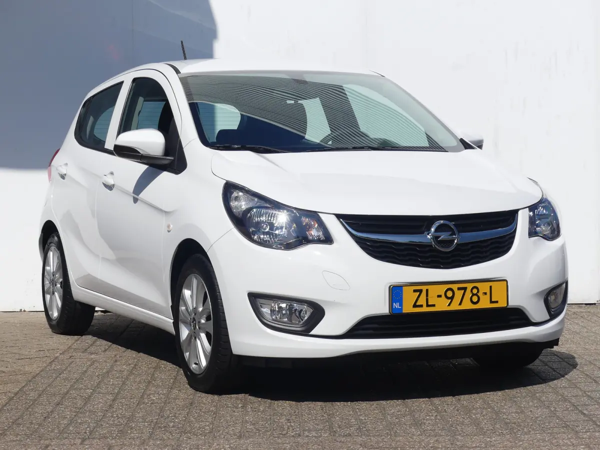 1.0 ecoFLEX 120 Jaar Edition | AIRCO | PARKEERSENSOREN | LMV 15" | CRUISE |