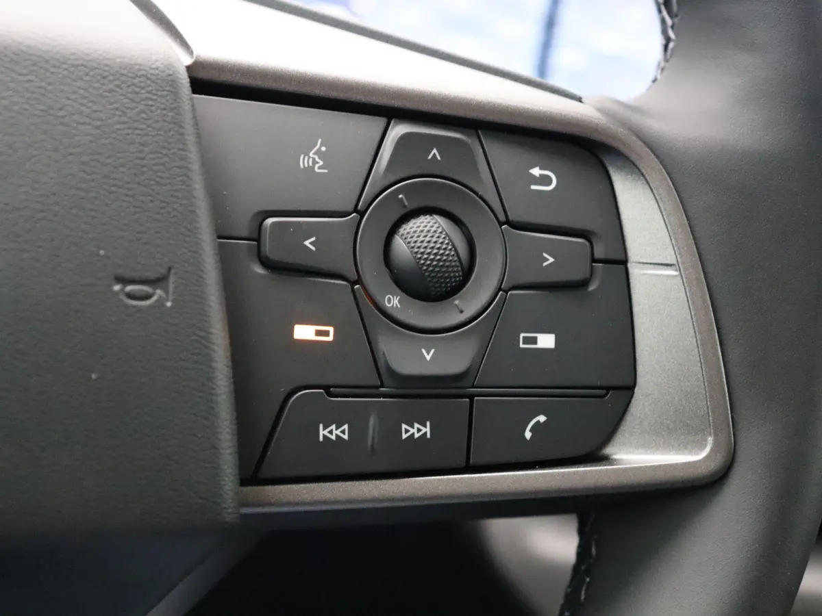 Evolve 52 kWh | Panoramadak | 445km WLTP | Bose Audio | Head-Up Display | Elektrische Achterklep |