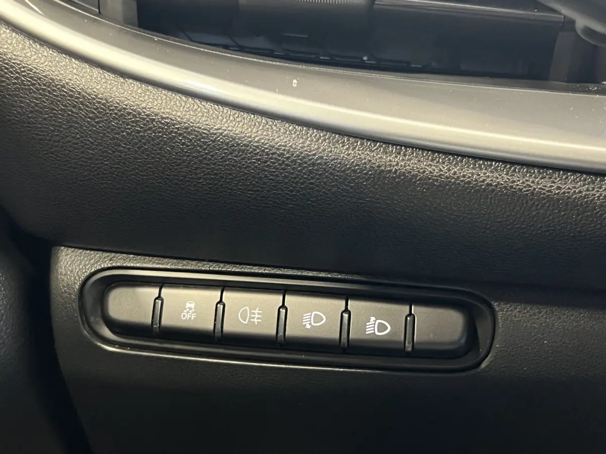 Icon 42 kWh | Navigatie/Android/Apple Carplay | LM Velgen 16" | Cruise Control | DAB | Cruise Control | Airco |