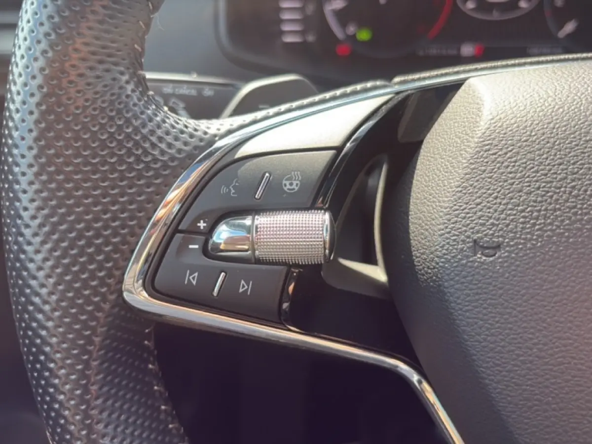 2.0 TDI DSG 4X4 SPORTLINE TREKHAAK/PANO-DAK/CAM/ELEK-KLEP/CRUISE/STOELVERW