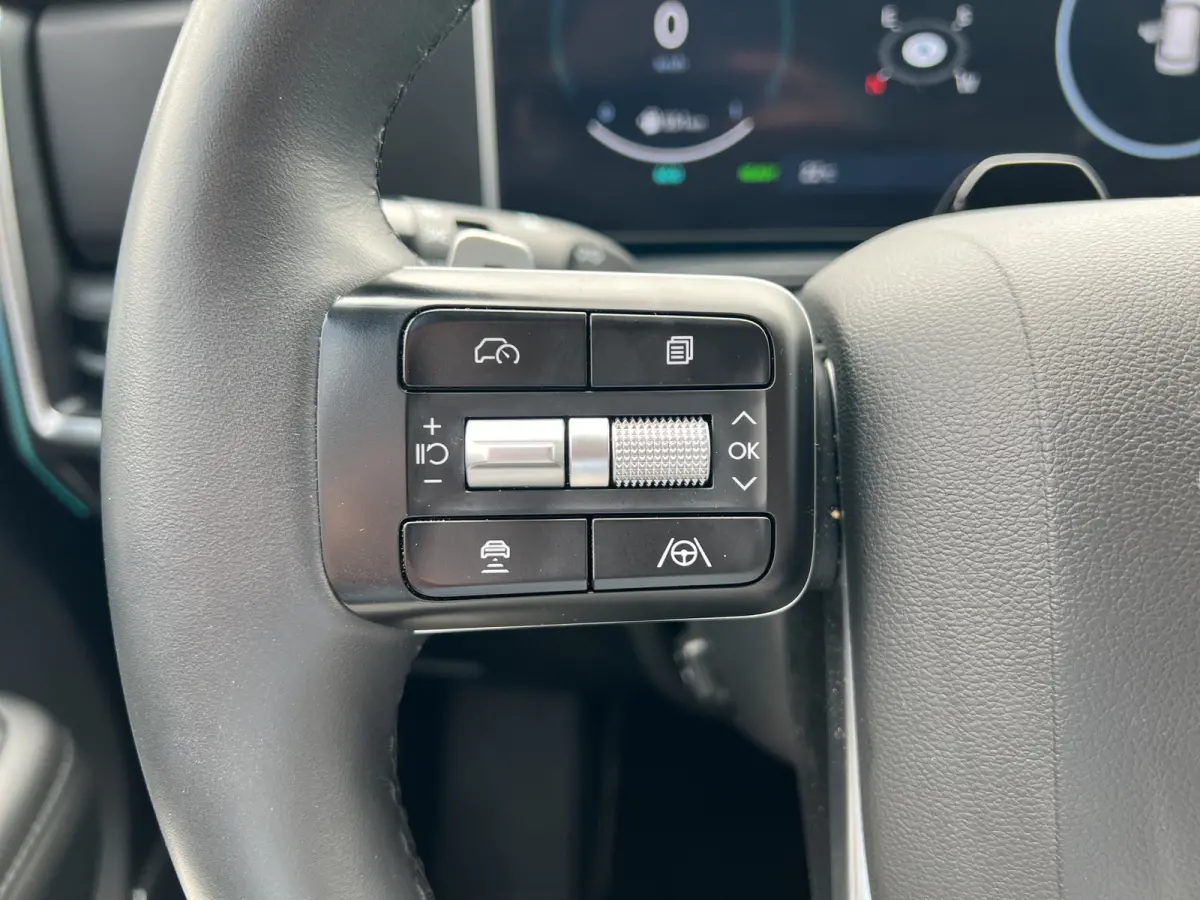 1.6 T-GDI 252pk PHEV Premium Plus 4WD 7p. | Elektrische trekhaak | Sidesteps | Premium Audio | Bestuurdersstoel met geheugen | Dodehoek detectie | Full-LED koplampen | Head-up display | Stoe
