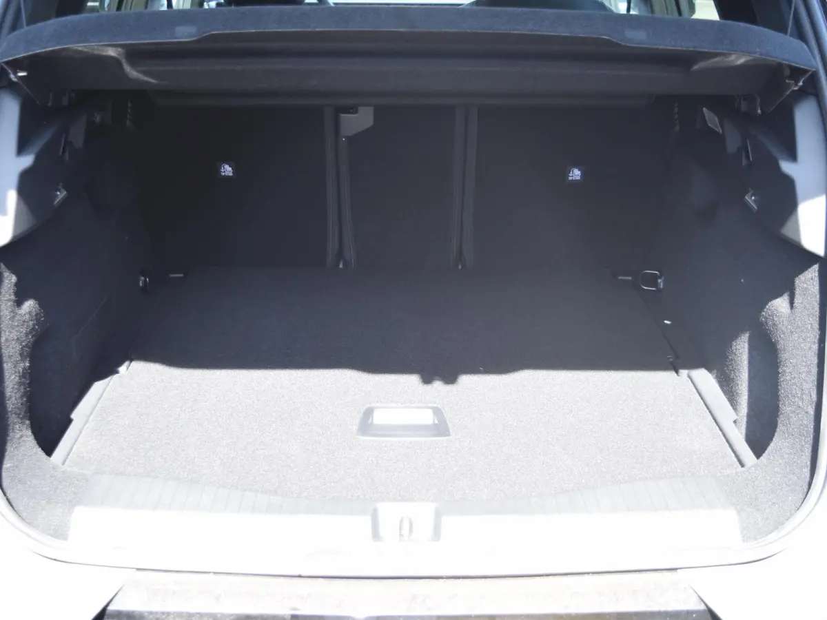 1.6 Plug-In Hybrid 195 Business